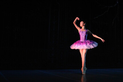 2016-12-09 19 La belle au bois dormant par GK